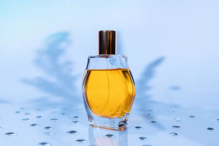 Transparent glass rounded bottle of golden perfume on blue background with shadows of leaves....