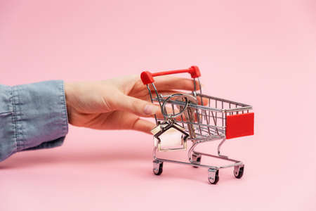 Insurance of real estate. Female hand push shopping mini cart with key and house keychain in it. pink background. Concept of leasing of real estate and mortgage.の写真素材