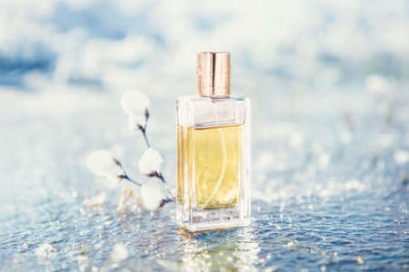 Close up of rectangular transparent glass bottle of golden perfume stands near snowy twig on a frosted pond.の写真素材