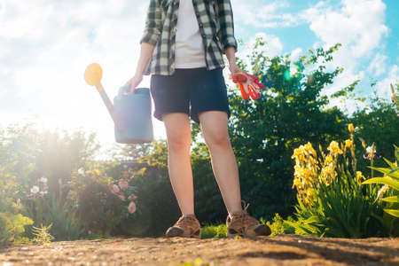 earth day concept. Woman with gloves and a watering can in her hands standing in the garden. bottom...