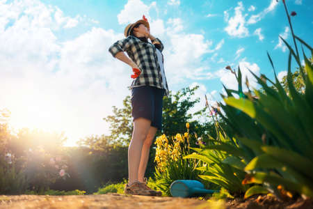 Caucasian woman stands near a flowering iris bush, holding her back in pain. A watering can is lying...