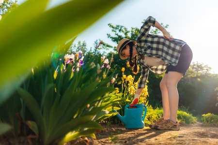 Caucasian woman stands bent over near a flowering iris bush, holding her back in pain. bottom view. The concept of back health problems.の写真素材