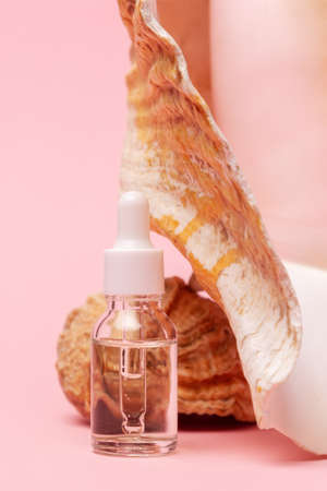 Close up of transparent cosmetic bottle on a pink background standing near strombus gigas sea shell. vertical orientation. The concept of an advertising template for beauty products.の写真素材