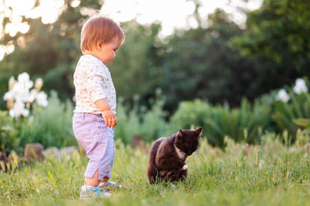 pet care. Cute toddler girl standing next to a black cat. In the background, green grass and garden plants. in the village.の写真素材