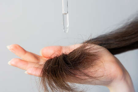 A woman with dark hair applies a cosmetic product to the tips on hair with a pipette. Close up of the hands. gray background. The concept of hair care.の写真素材
