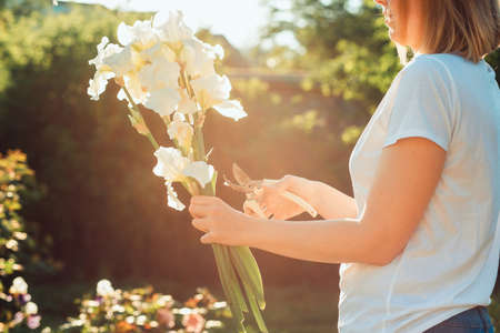 A young Caucasian woman holds a bouquet of white irises, pruning dry leaves. summer gardening work. close up.の写真素材