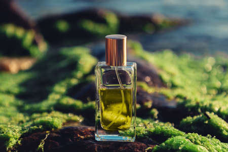 A glass perfume bottle on wet moss on the ocean shore. close-up. The concept of selective perfumery.の写真素材