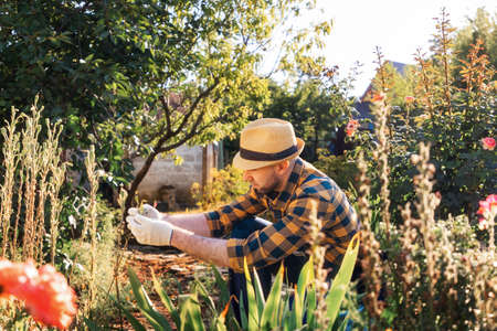 A gardener in a straw hat, gloves and a plaid shirt is working in a blooming garden. The concept of the spring-summer gardening seasonの写真素材
