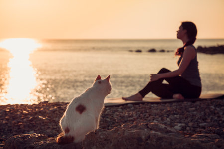 a stray cat with curiosity watches the girl who is engaged in yoga against the sea.の写真素材