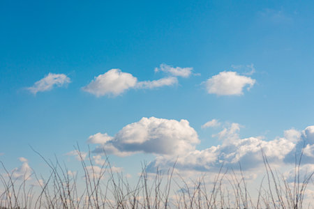 Blue sunny sky with clouds and mountains. beautiful sky. View through grass. copyspace. Peaceful and...