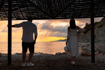valentines day. Beautiful couple look at sunset and ocean. back view. love and romantic.の写真素材
