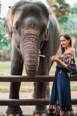 portrait of beautiful girl and elephant together in tropical countries.の写真素材