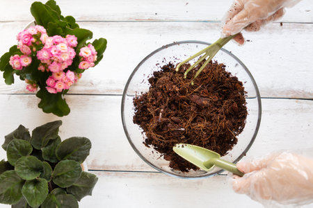 Closeup view of glass bowl woman using tool with coconut substrate. White wood background. flat lay. The concept of home organic gardening.の写真素材