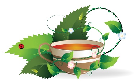 Vegetative shoots encircle the cup of herbal teaのイラスト素材