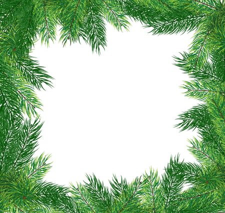 Lush fir branches on a white background  Abstract Christmas frameのイラスト素材