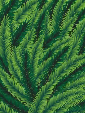 Green Spruce branches. Abstract Christmas background.のイラスト素材