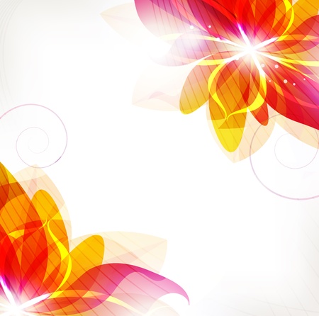 Orange flowers on a white background. Abstract floral card.のイラスト素材