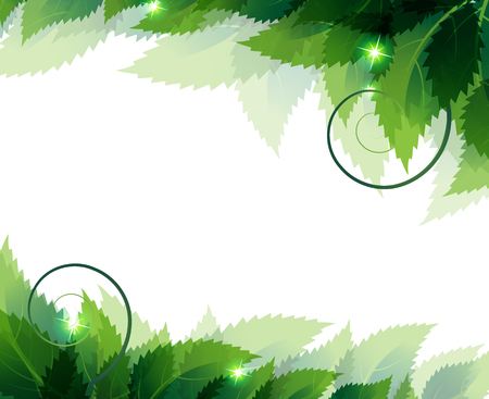 Green spiky leaves with sparks on a white backgroundのイラスト素材