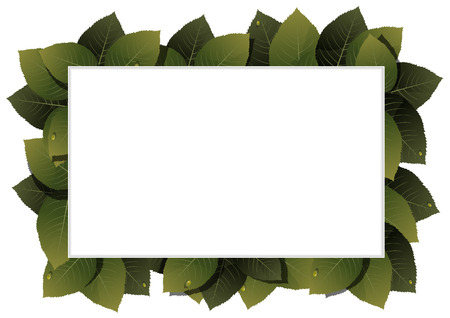 Lush foliage with water drops on a white backgroundのイラスト素材