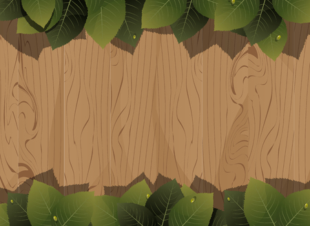 Lush foliage with water drops on a wooden fence background のイラスト素材