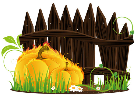 Burning pumpkins with leaves and  sprouts are under the fence. のイラスト素材