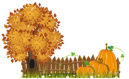 Tree and pumpkins with leaves and  sprouts are under the fenceのイラスト素材