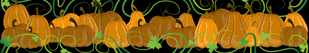 Many pumpkins of different forms with sprouts and leaves  on a black backgroundのイラスト素材