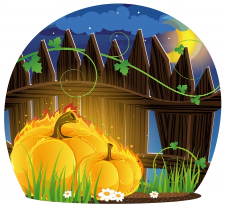 Burning Pumpkins with leaves and  sprouts are under the fence のイラスト素材