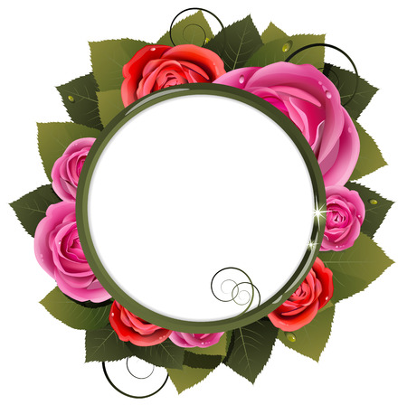 Roses and leaves on a white with place for text のイラスト素材