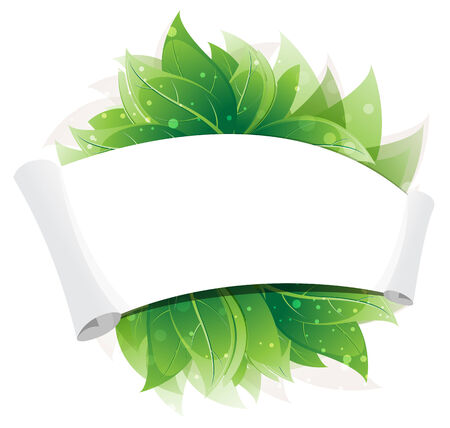  Green leaves with paper scroll on white backgroundのイラスト素材