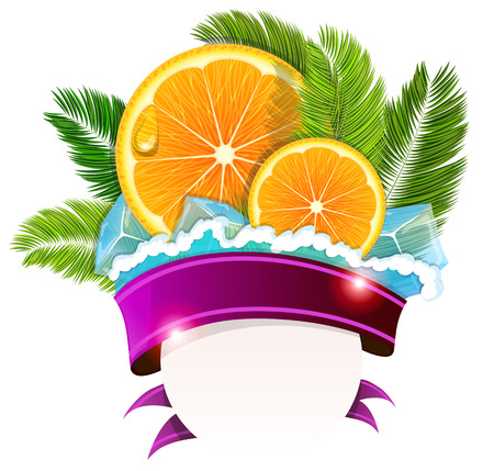 Orange slices with palm branches, ice cubes and ribbon on white backgroundのイラスト素材