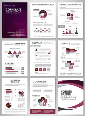 Info-graphic brochure elements for business and finance visualization. Set of info-graphic templates for flyer, and more.のイラスト素材