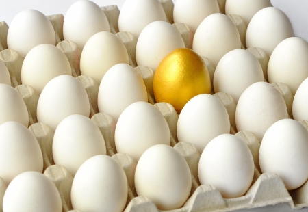 Golden egg among white hen eggs in carton pack 
