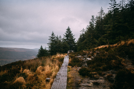Glendalough trails