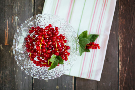 Frische Johannisbeeren in einer Schale angerichtet - Fresh redcurrants in a bowlの写真素材