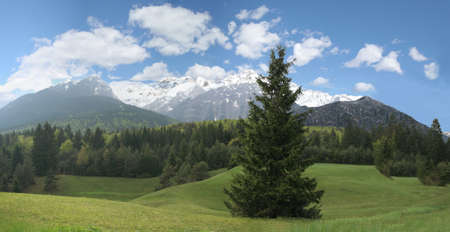 Panoramic mountain forestの写真素材