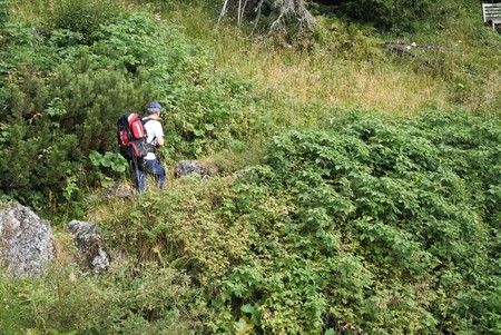 picture with a backpack traveler tracking on the mountain, climbing among rocks and wild bushesの写真素材