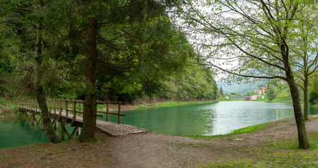Bridge over the lake - view in nature - green, forest, parkの写真素材