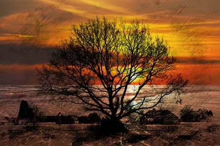 Tree at sunset with houses and sea in the backgroundの写真素材