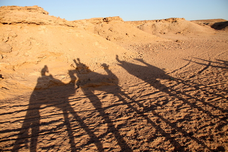 shadowの写真素材