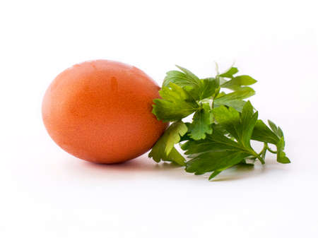 Hirh quality bir resolution egg with parsley isolated on white backgoundの写真素材