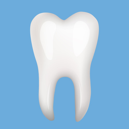 Very high quality original trendy realistic vector human tooth illustration.のイラスト素材