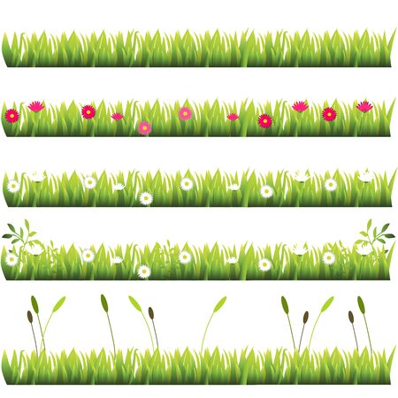 grass with flowersのイラスト素材