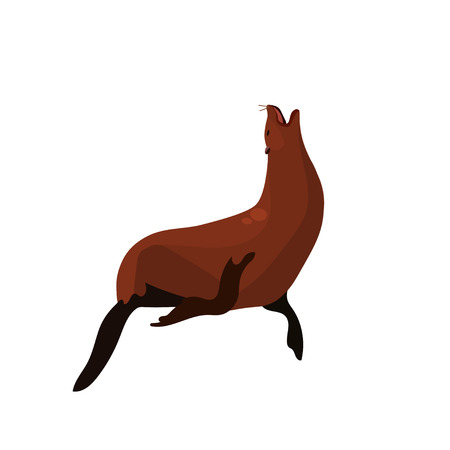 Sea Lion or sealのイラスト素材