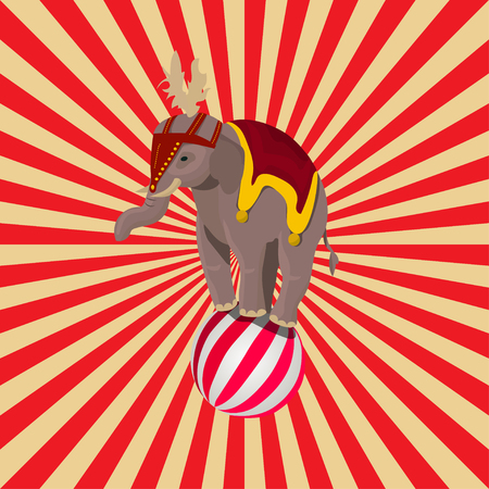 circus elephant balancing on ballのイラスト素材