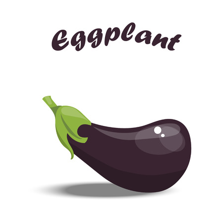 Vector illustration of fresh eggplantのイラスト素材