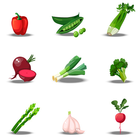 set with fresh healty vegetablesのイラスト素材