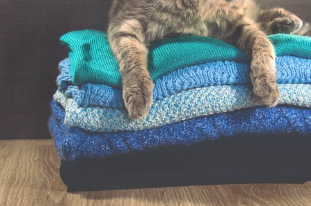 Scotish fold cat lying near a stack of colorful towelsの写真素材
