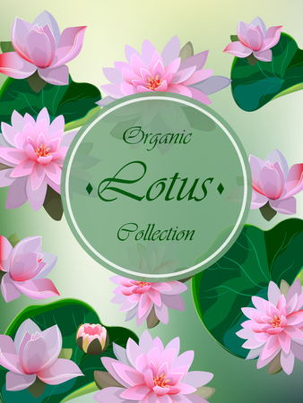 High quality realistic vector illustration of lotus flower. Background with lotus. Wedding invitation.のイラスト素材