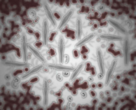 Blood poisoning.Parasites in bloodstream.Art illustration.
